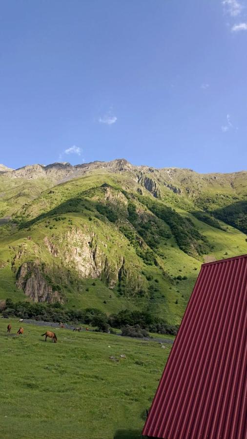 Mountain Flower Cottage Kasbegi Buitenkant foto