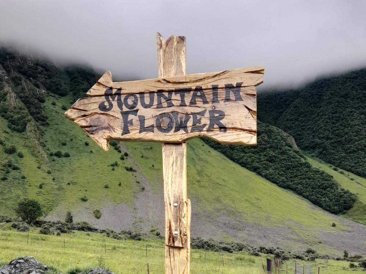 Mountain Flower Cottage Kasbegi Buitenkant foto