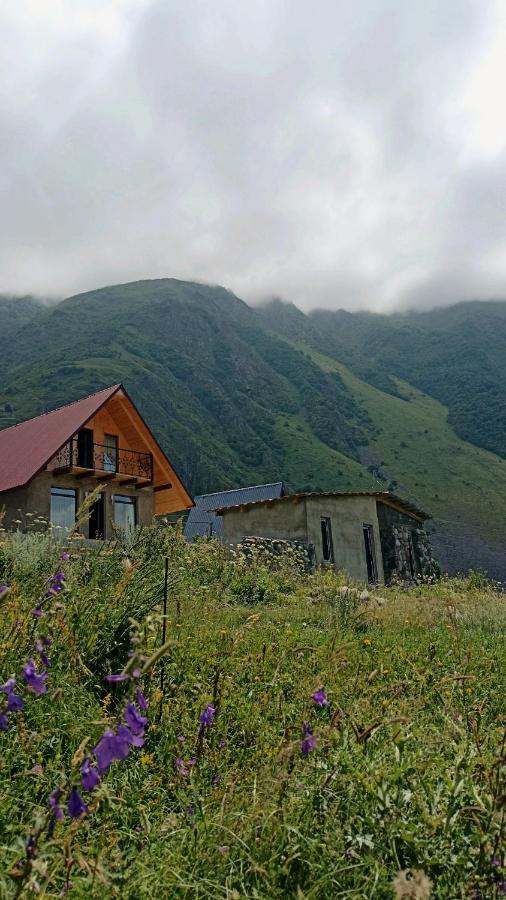Mountain Flower Cottage Kasbegi Buitenkant foto